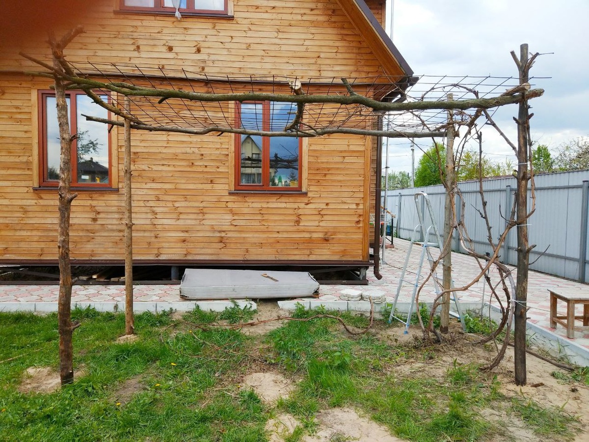 Архив 2020 года.