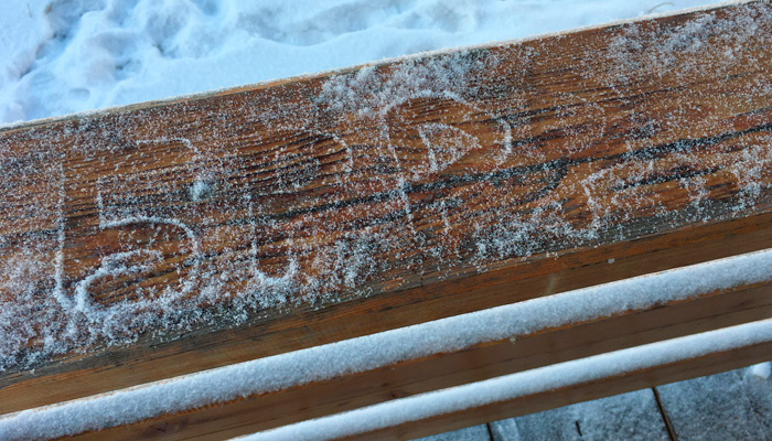 24 ноября наступает Федор Студит, когда ожидали сильных морозов. Фото: Александра Логинова, 1MI