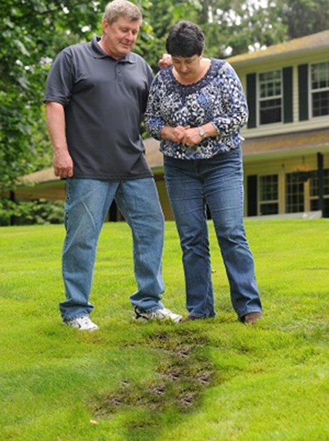 Фото с сайта https://doh.wa.gov/community-and-environment/wastewater-management/septic-system/signs-failure