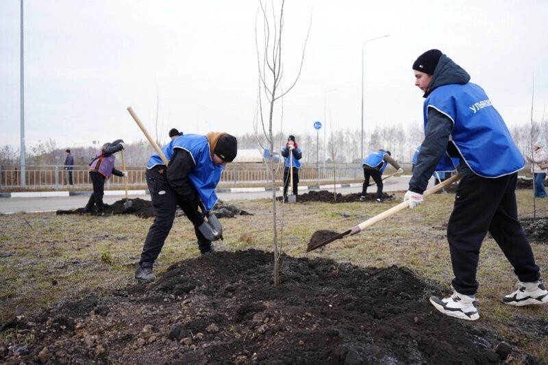    Фото: Администрация города Ульяновска