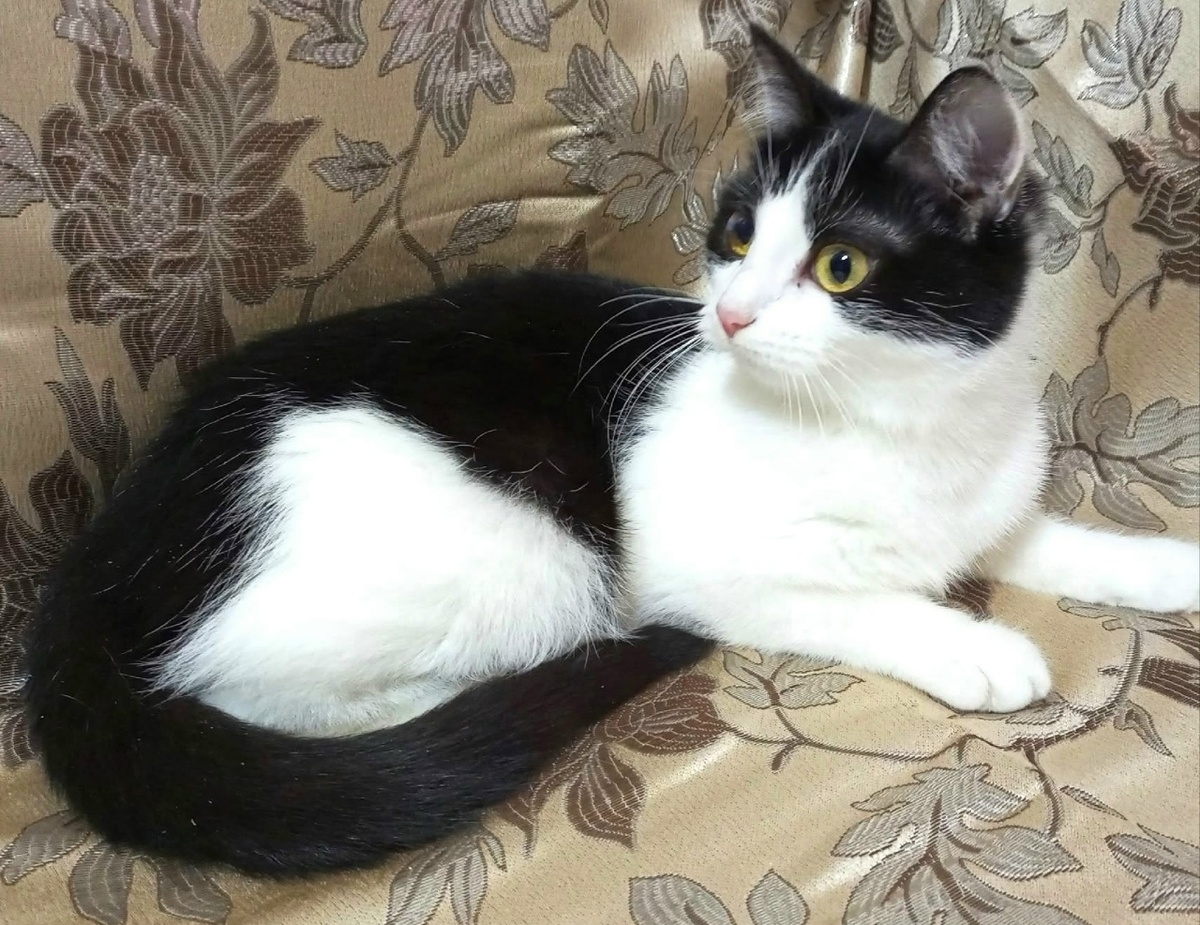 Дочь Василия Кузьмича