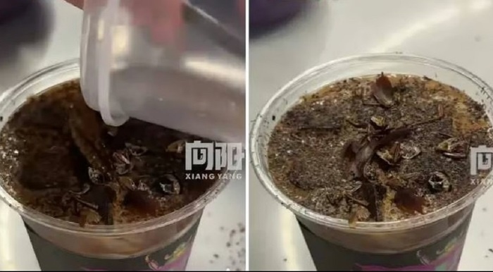    В Китае начали продавать кофе с тараканами