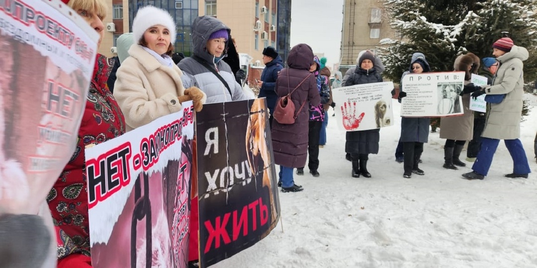 На митинг против закона об эвтаназии бездомных животных вышли сто новосибирцев