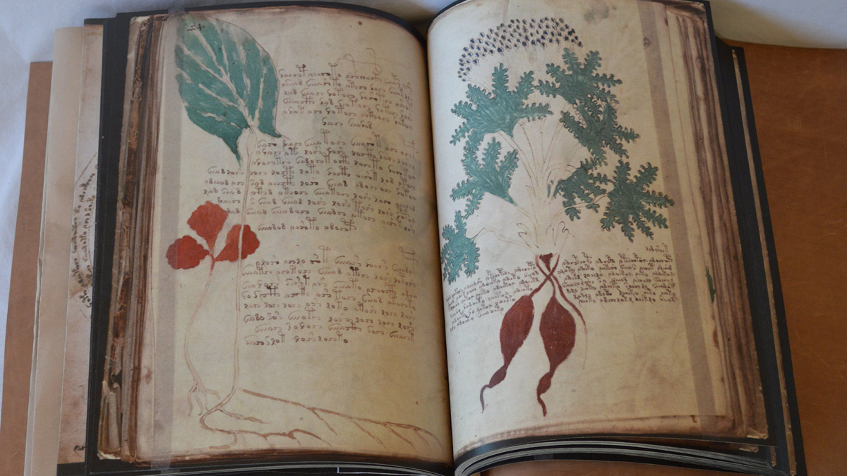 Рукопись Войнича