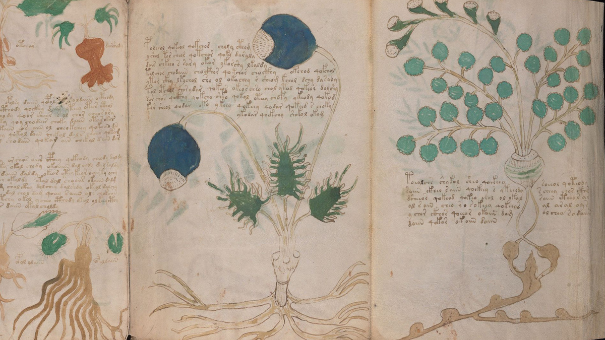 Рукопись Войнича со странными картинками