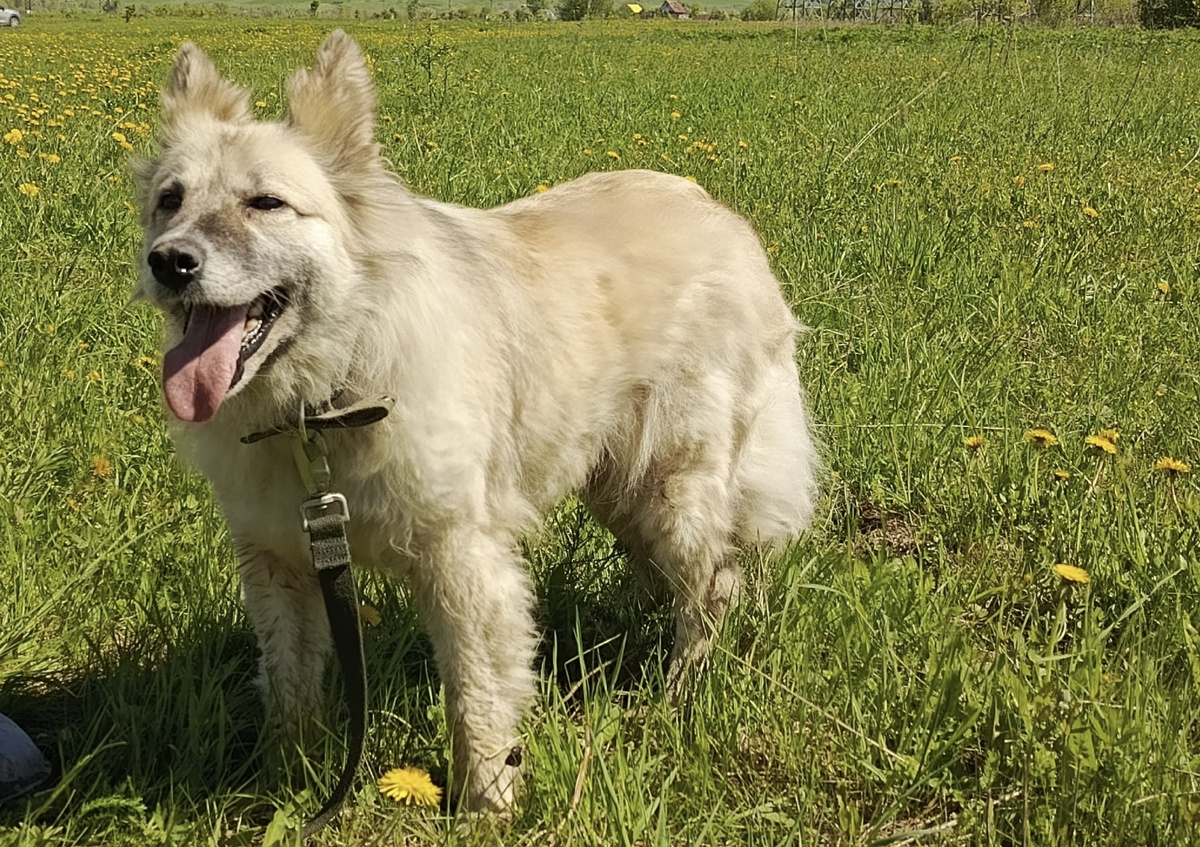 Наша Мишель -2