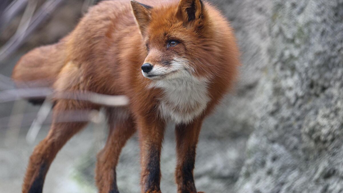    Фото: Bulkin Sergey/news.ru