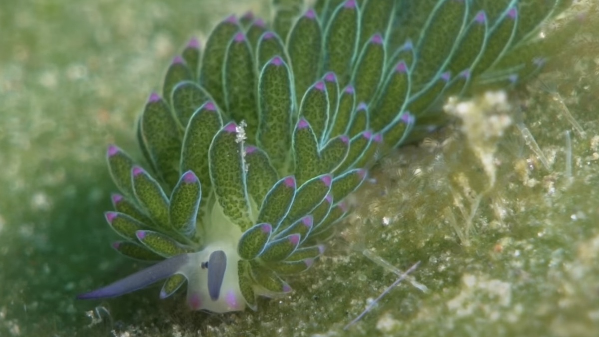 фото из открытых источников/энергия