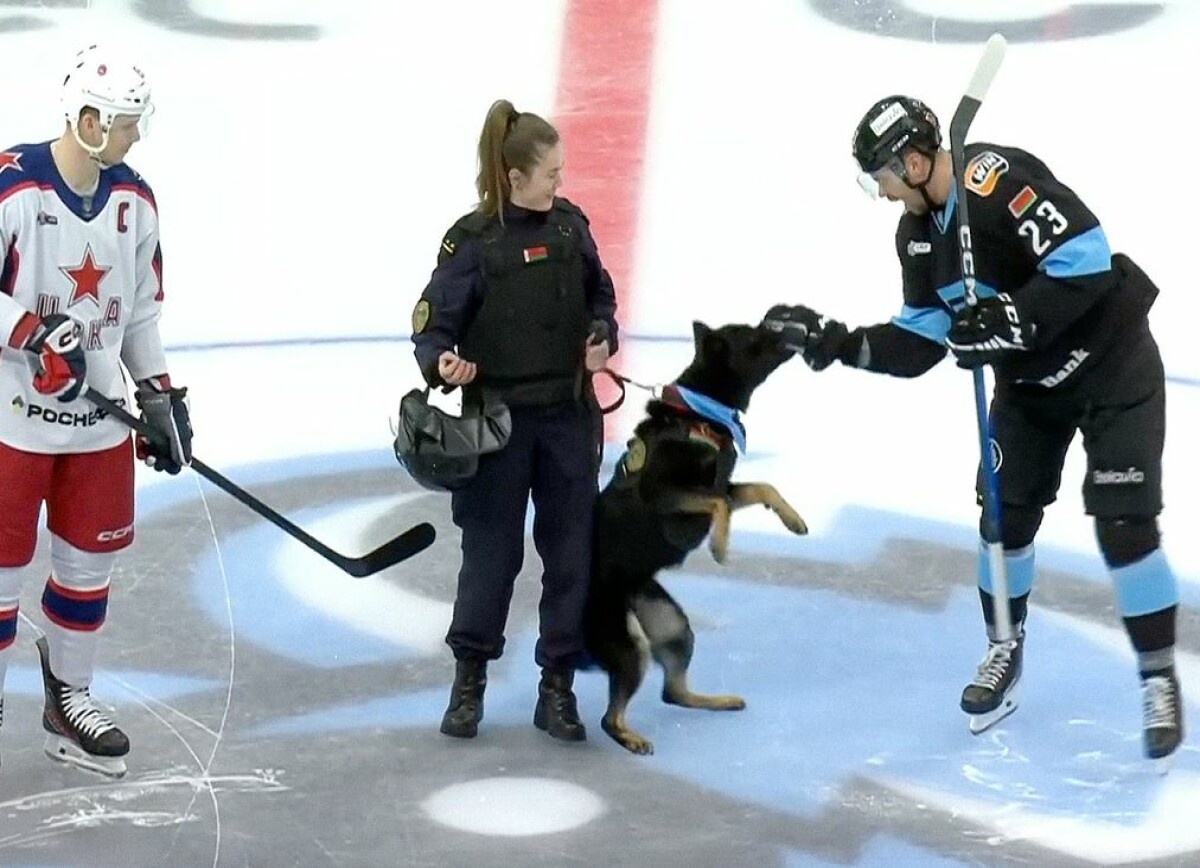     The Athletic о курьёзе в КХЛ с участием служебной собаки: это была рискованная затея