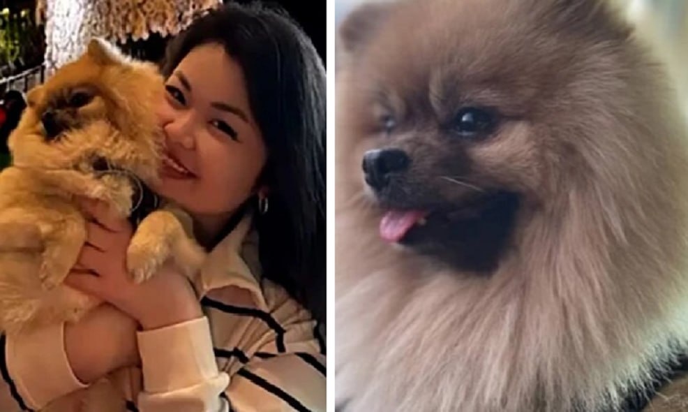 Фото: из открытых источников