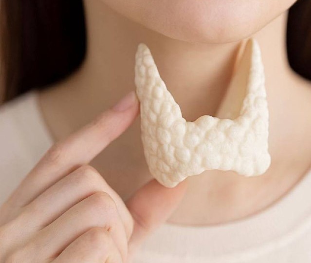 Щитовидная железа