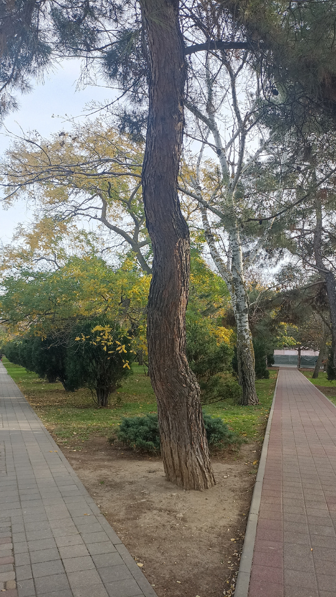 сквер им. И.В.Гудовича