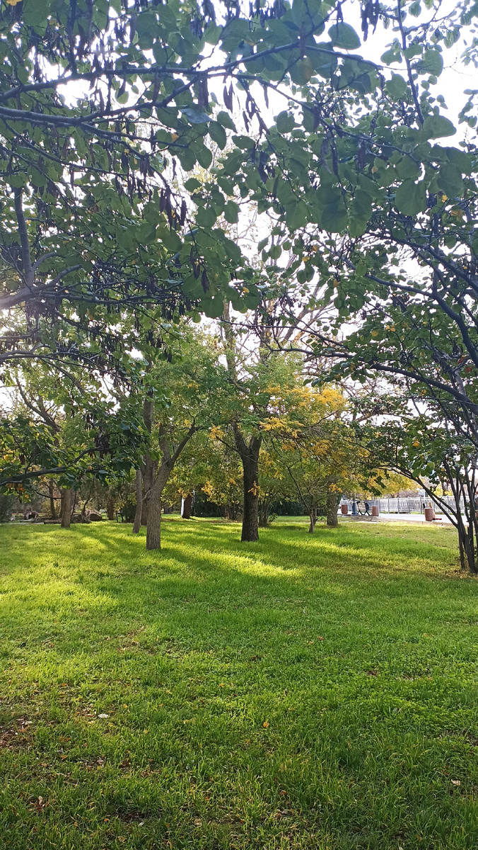 набережная