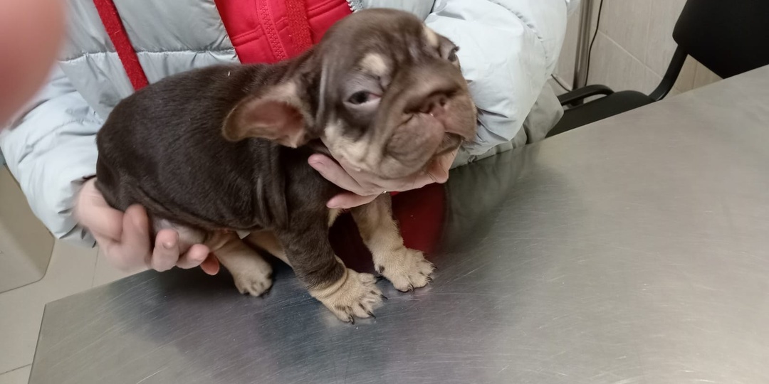 Многие думают, что мы истории выдумываем, но это не так