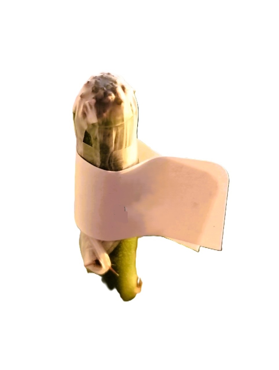 процесс работы с пленкой