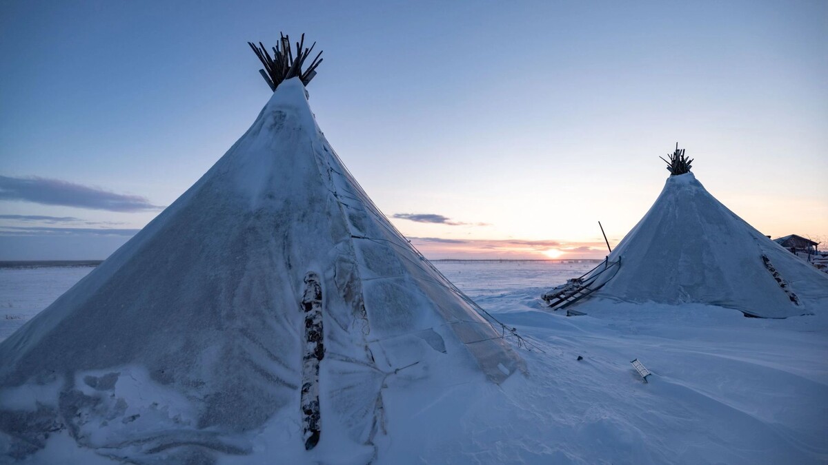    Фото: Сергей Зубков / «Ямал-Медиа»