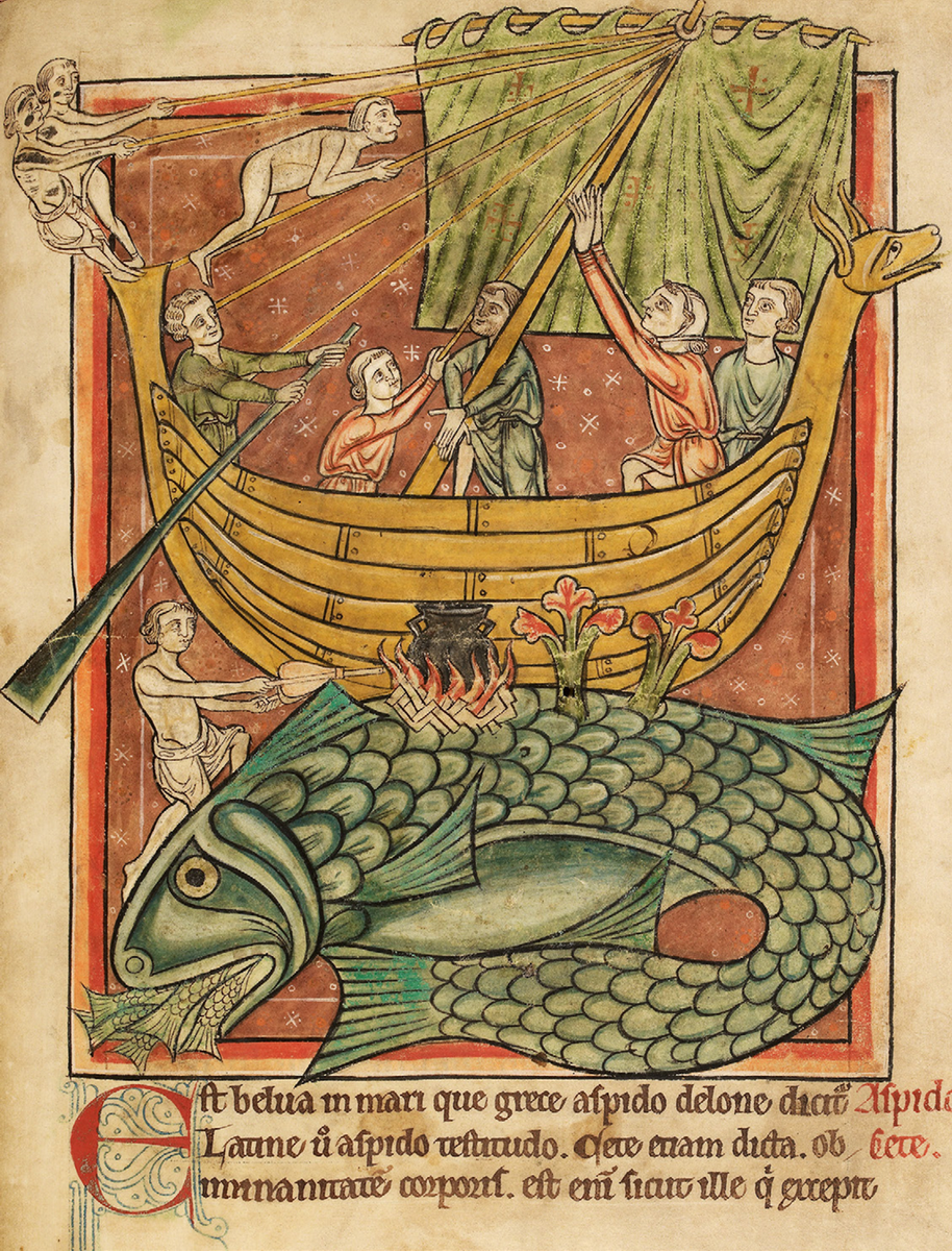 ЗЕЛЕНЫЙ МОНСТР: КИТ
В средневековье вода ассоциировалась с зеленым цветом. Именно поэтому многие опасные или устрашающие существа, обитающие в ней, изображались зелеными: драконы, крокодилы, сирены, змеи и даже лягушки, которых называли "грязными и ядовитыми червями". В морских глубинах самым грозным созданием считался кит, способный маскироваться под остров. Моряки, принимая его за сушу, высаживались, разводили костры, но внезапно пробуждавшийся гигант сбрасывал их в пучину.
Миниатюра из английского бестиария, ок. 1230 - 1240. Лондон, Британская библиотека, г-жа Харли 4751, тел. 69.