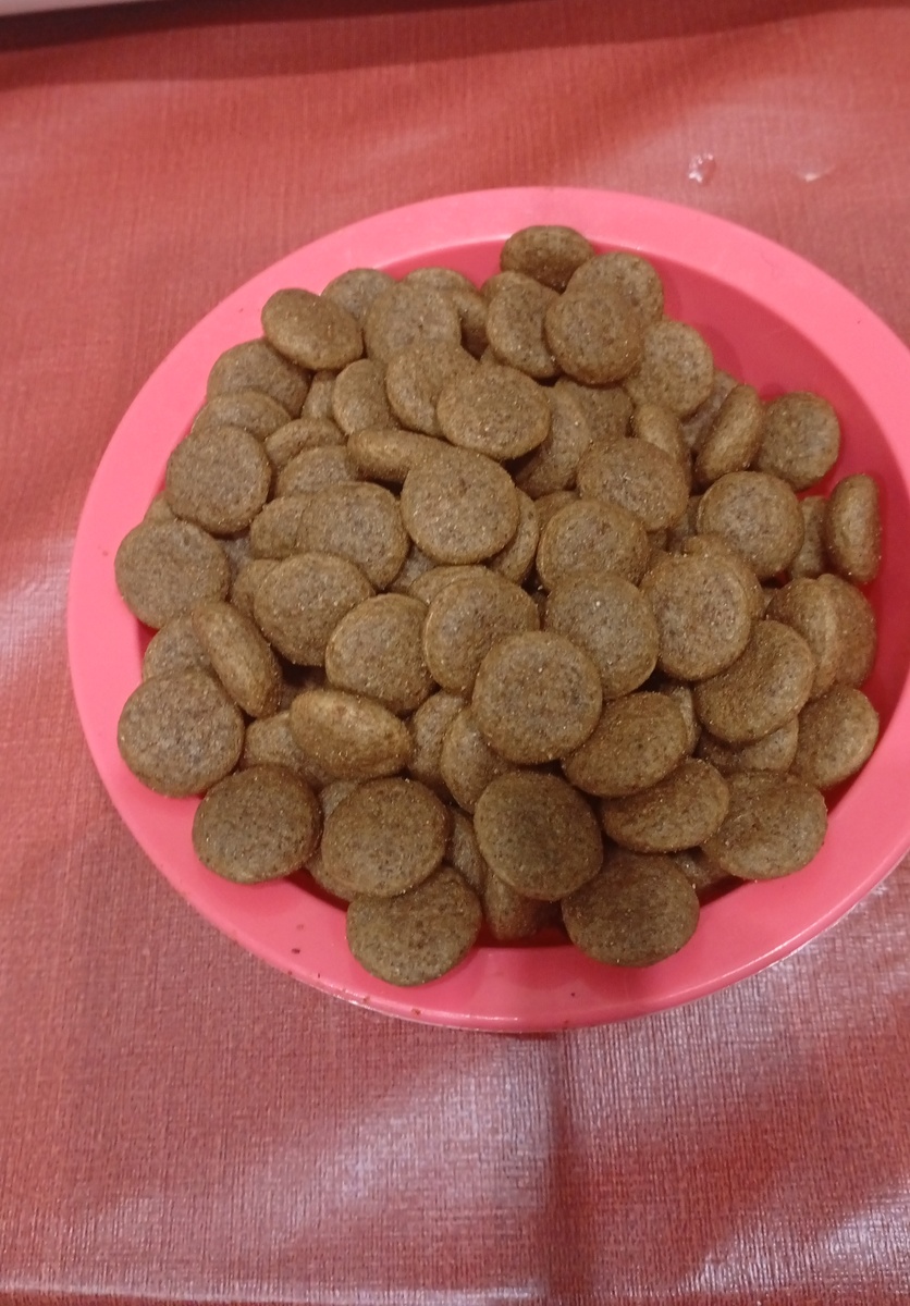 Корм собакам пришел, 13 кг. Посмотрю на сколько хватит. Уже едят.  