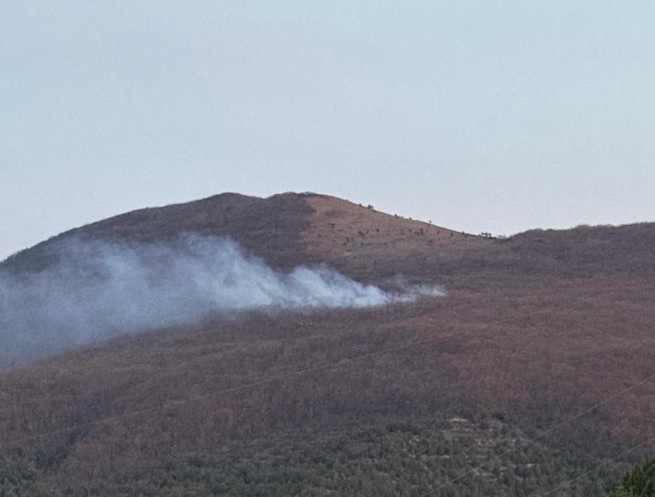    Фото: оперштаб Кубани