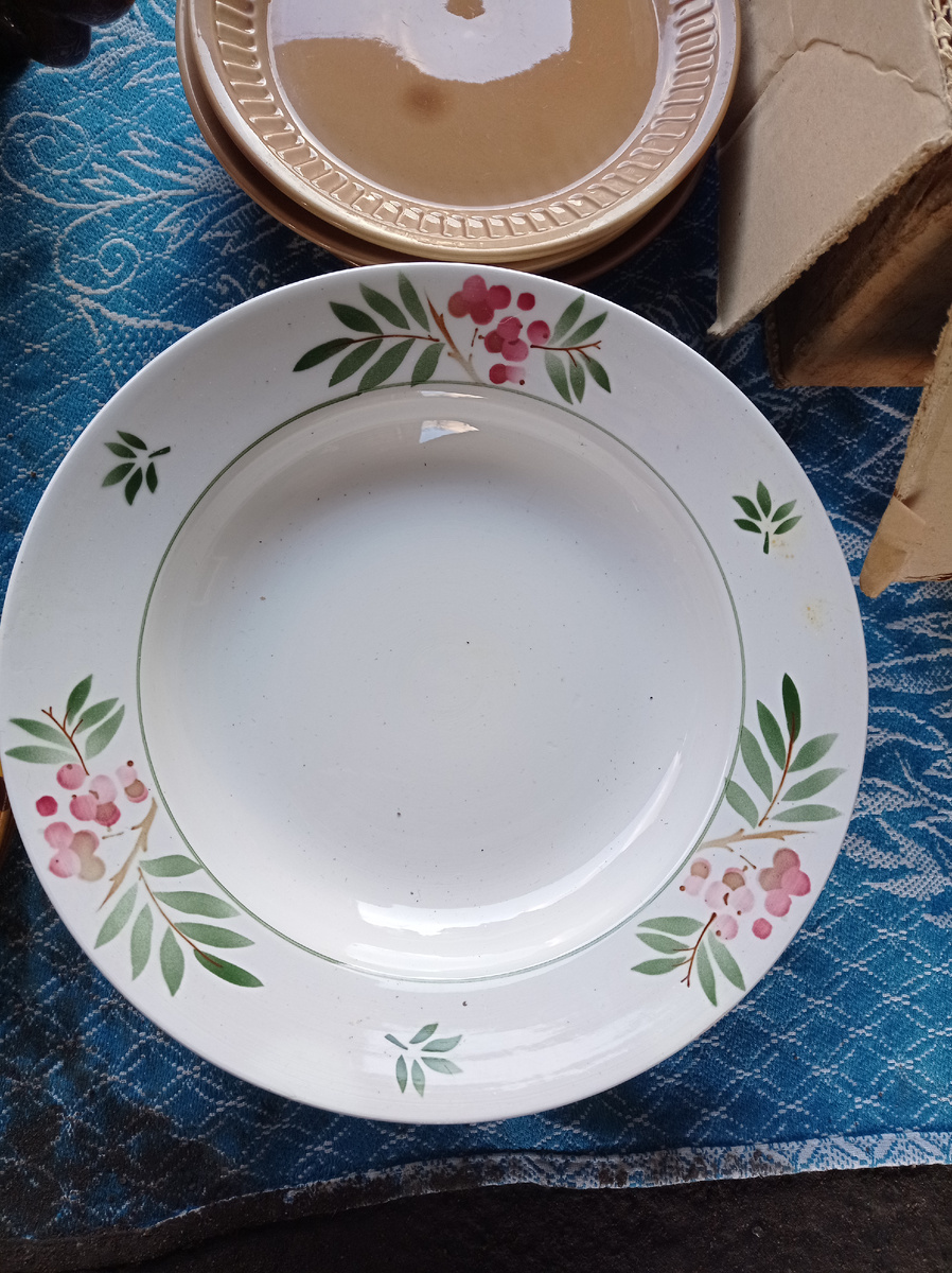 Понравились гроздья рябины на тарелках из Конаково. 