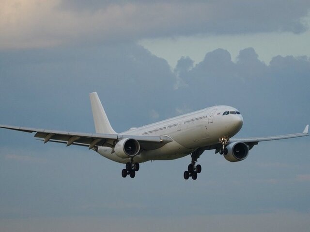    Фото: Агентство "Москва"/Пелагия Тихонова