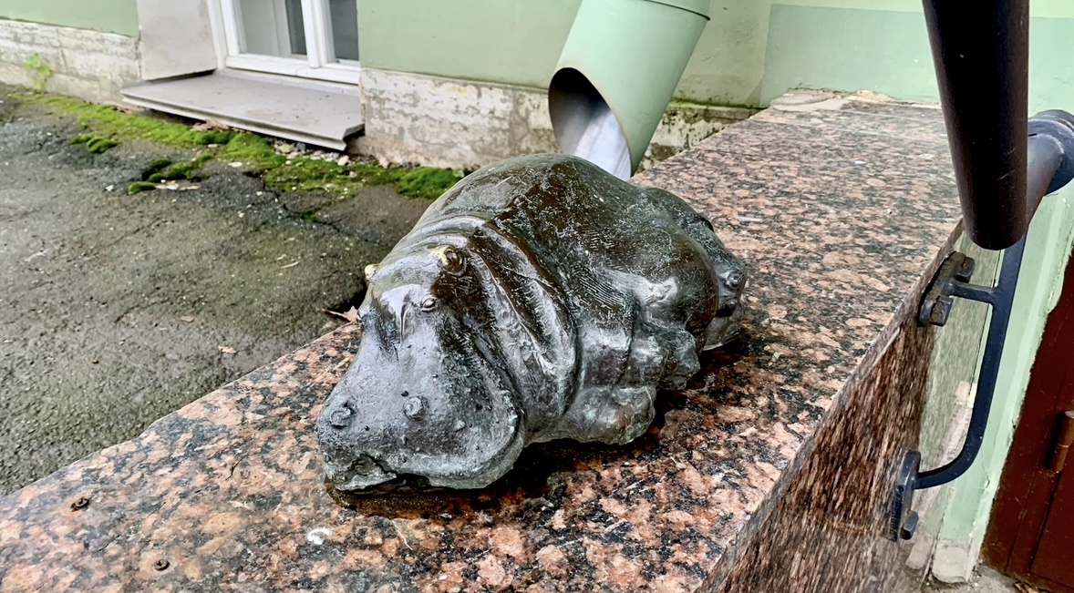 Бегемотиха Тоня во дворе СПбГУ выполнена из бронзы и имеет небольшой размер: всего 35 на 20 см