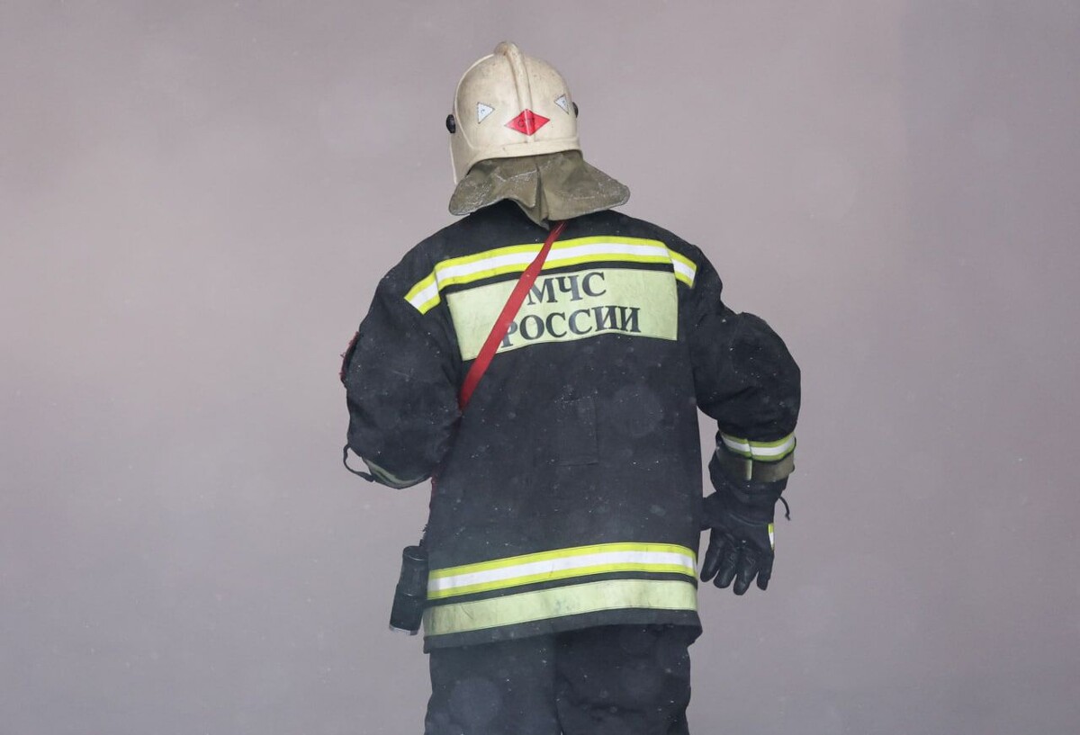     / Источник: © Belkin Alexey/Global Look Press