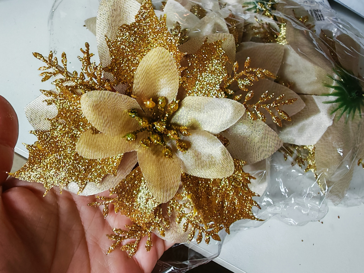 Фото автора канала.