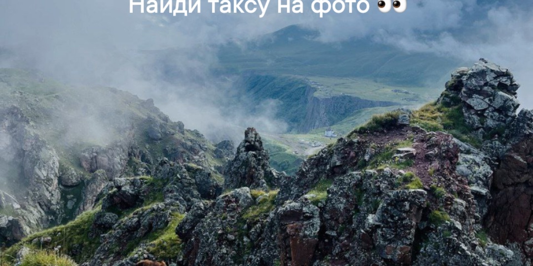 Сумасшедшей красоты фоточку из отпуска прислала Симбе такса Тучка