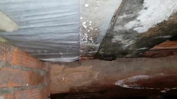 Сырость и плесень в подполе