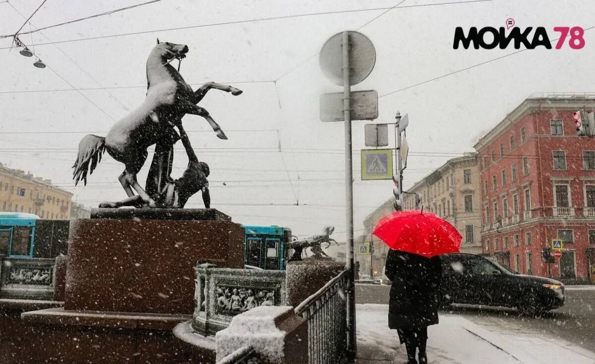    Фото: Мойка78