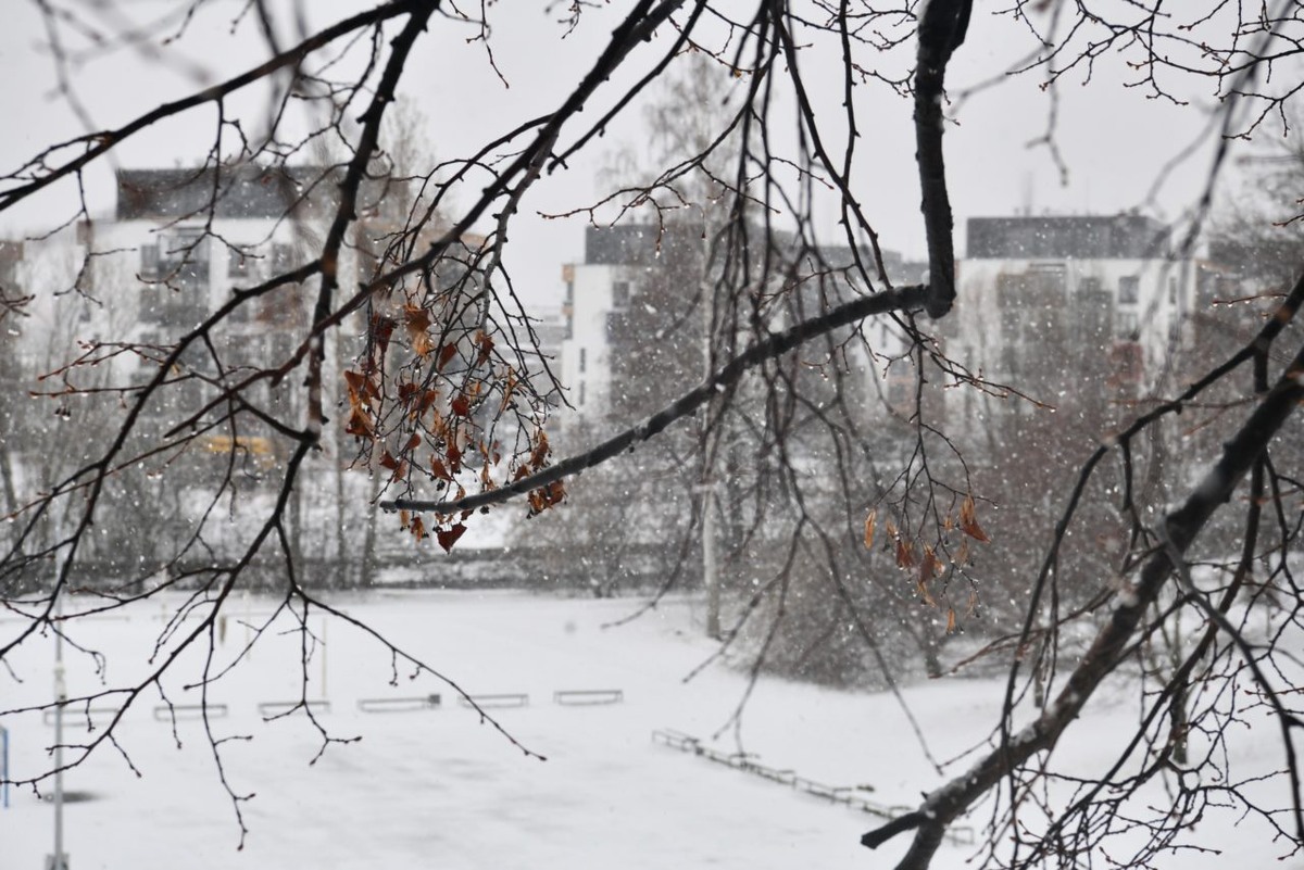    Фото: "Республика"/ Лилия Кончакова