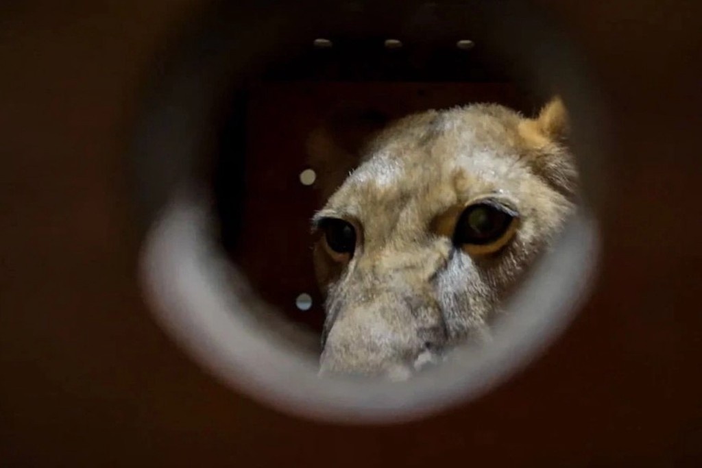    Фото © mnr.gov.ru