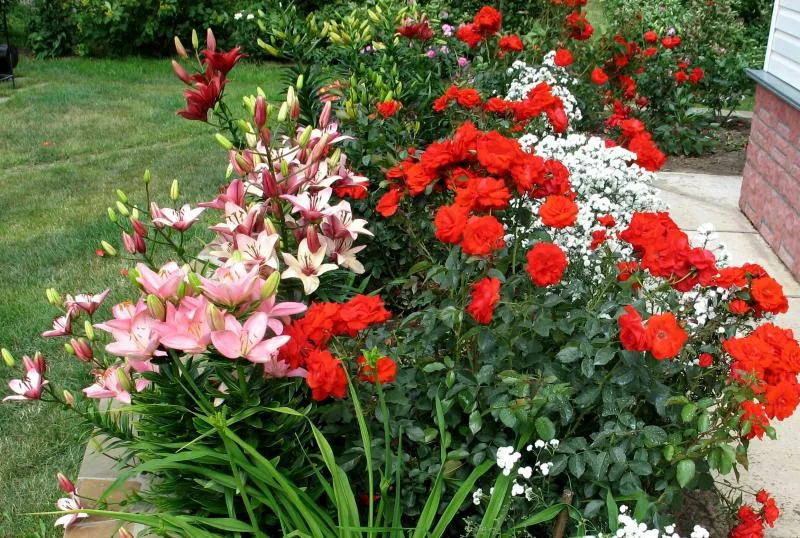 Фто из Интернета