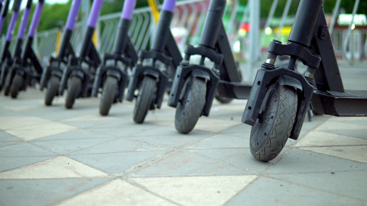    Фото: Addrenn/Shutterstock/Fotodom