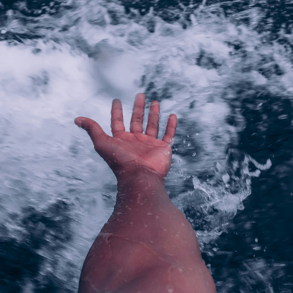 Вода это жизнь. Но оказывается, что в воде еще обитают те, кто по-настоящему делает воду живой. Фото by supa.ru