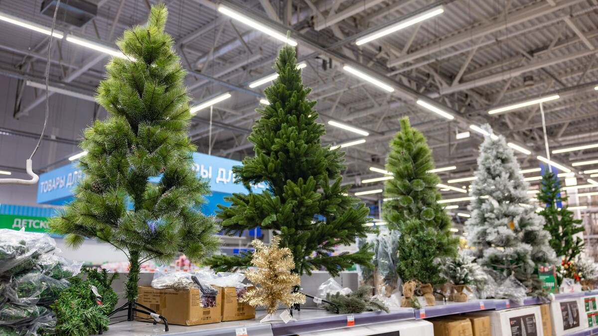    Фото: Юрий Здебский/«Ямал-Медиа»