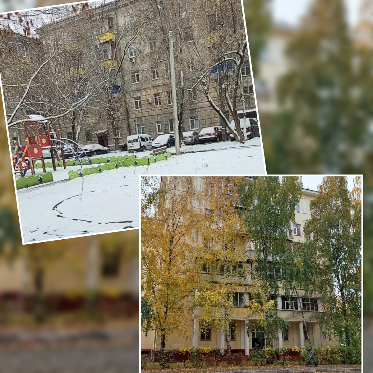 Фото автора.