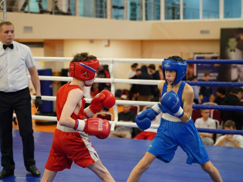    Фото: СШОР по боксу