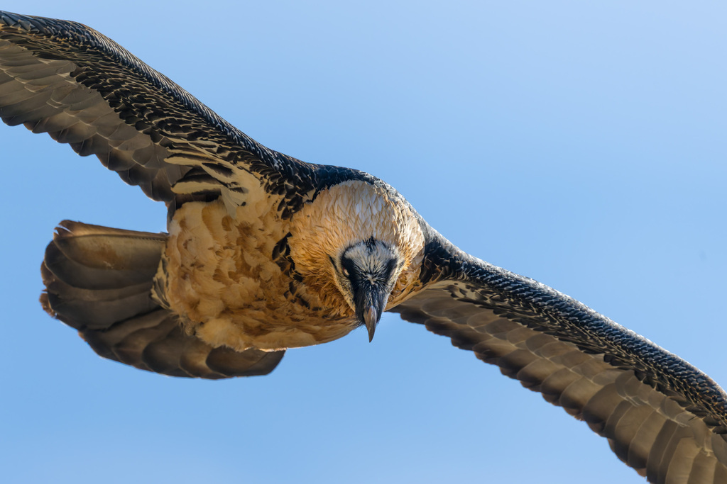 фото Davide Diana, Италия