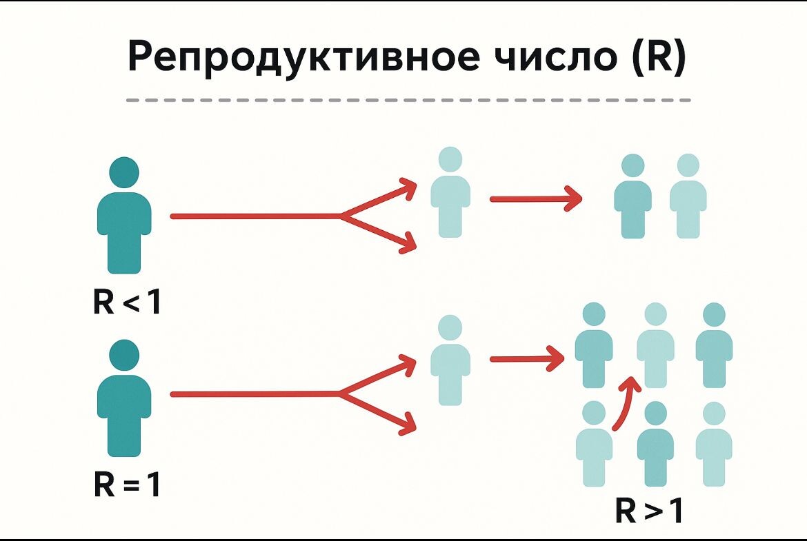 Схема автора ( С элементами статистической драмы)