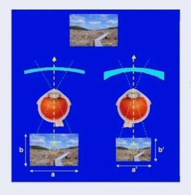 Изображение из Яндекс картинки 