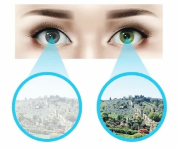 Изображение из Яндекс картинки 