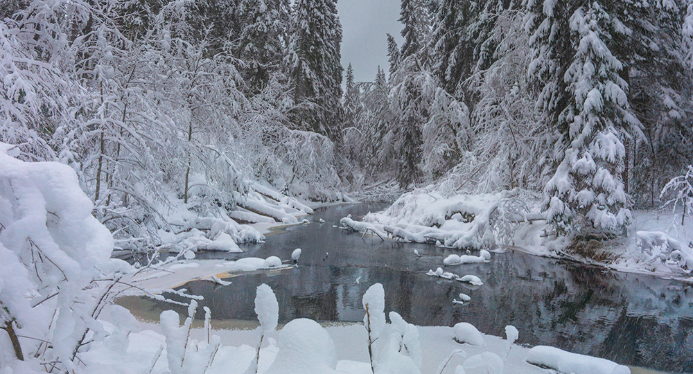 После снегопада