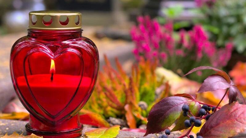    Фото: Tula L/Shutterstock/Fotodom