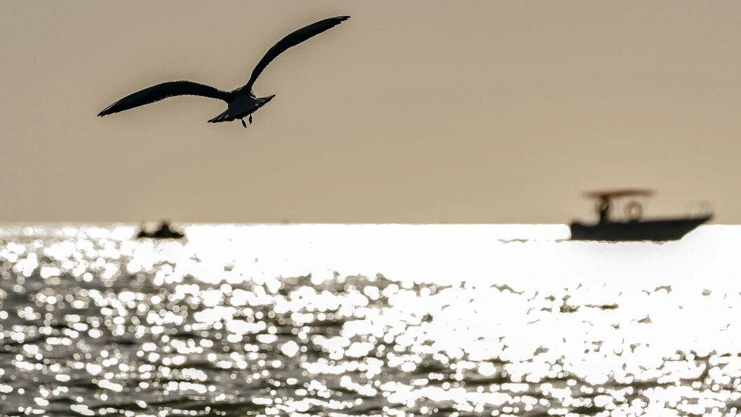    Roman Naumov/Globallookpress