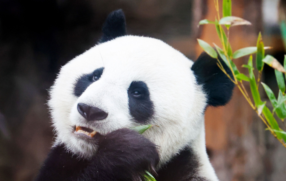    Алексей Белкин/NEWS.ru