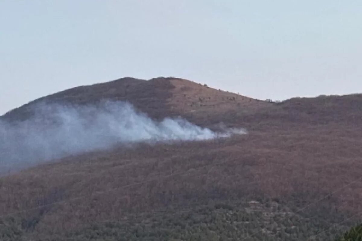    В Новороссийске лесной пожар локализовали на площади 1,2 гектара
