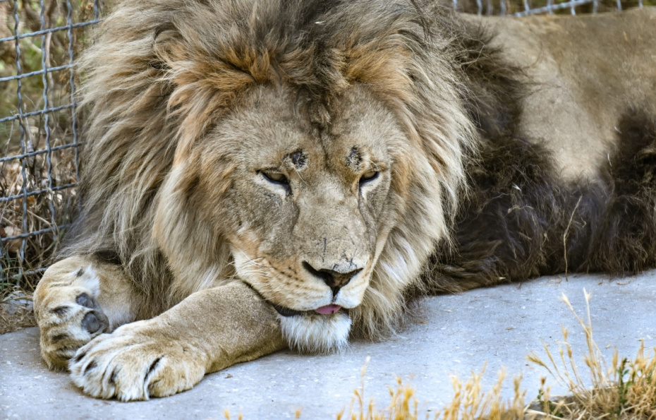    Константин Михальчевский/РИА Новости