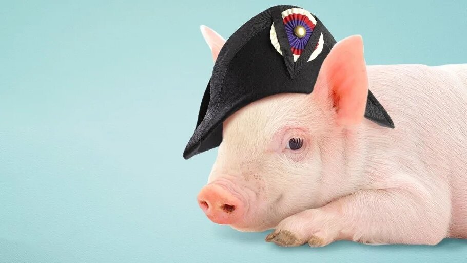 10 самых абсурдных законов со всего мира, которые до сих пор действуют